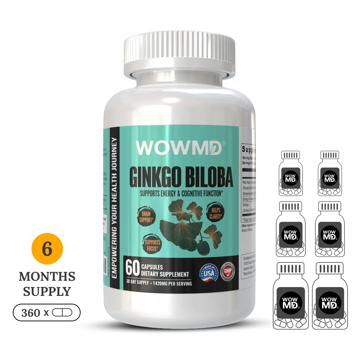Ginkgo Biloba