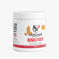 Energy Drink Mix (Melon Creamsicle)