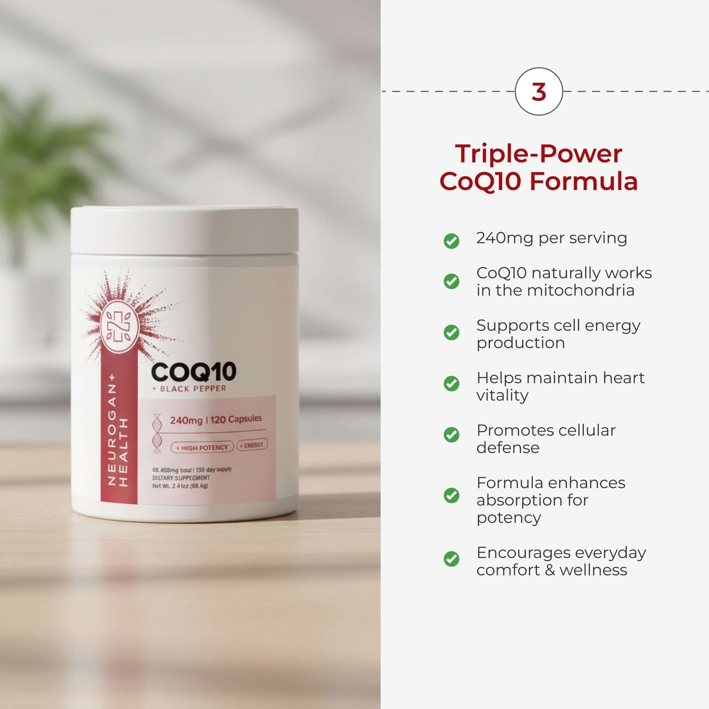 The Cognition Stack