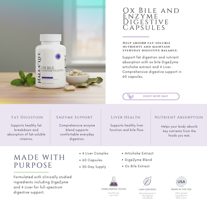 Ox Bile and Enzyme Digestive Capsules