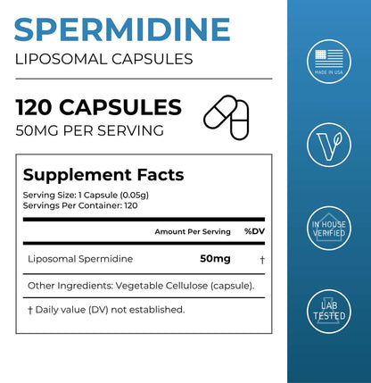 Liposomal Spermidine Capsules