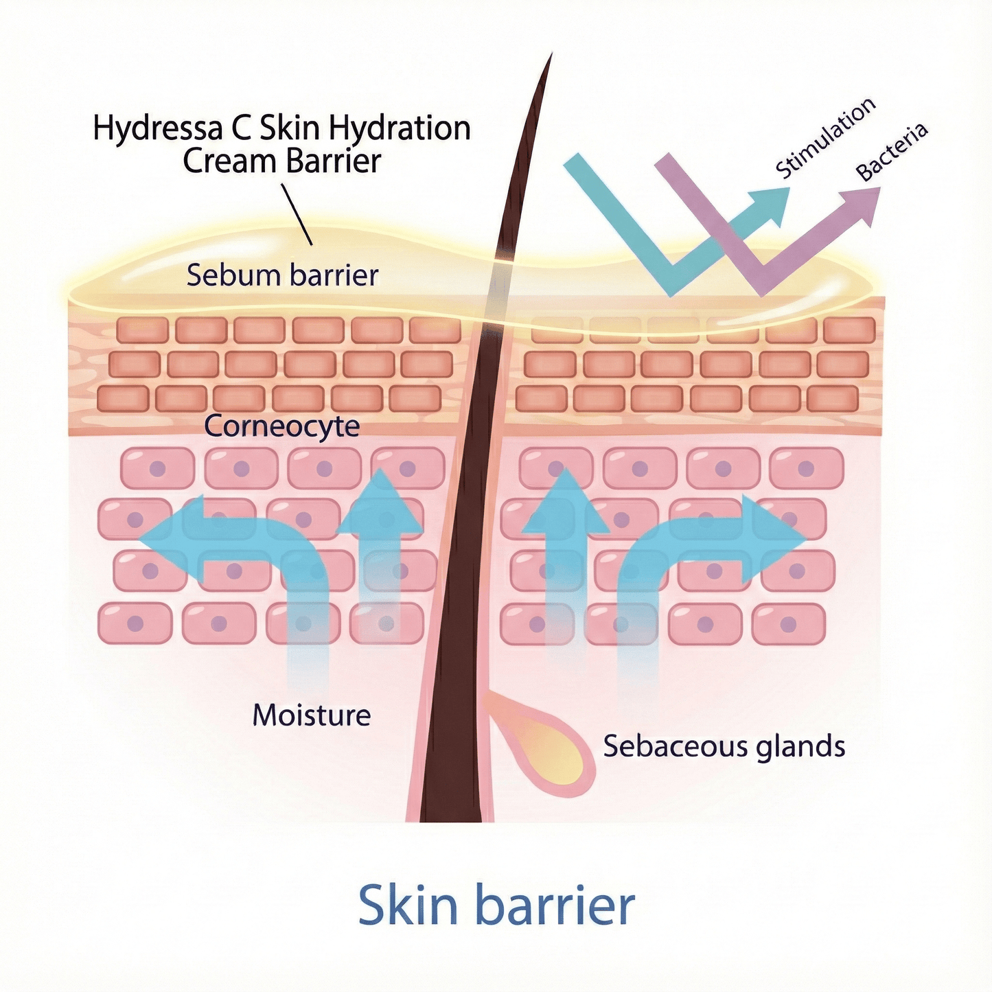 Hydressa C Skin Hydration Face & Body Cream |2 oz