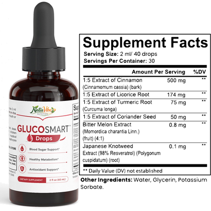 GlucoSmart Drops 2-Pack | Blood Sugar Support Supplement | 2 x 60ml
