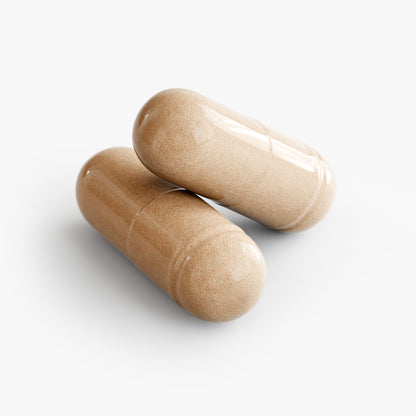 Mushroom 10X Capsules with Lion's Mane - 60 Count Reishi USA Made
