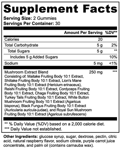 Mushroom Gummies for Enhanced Wellness Support | Mushroom Extract Complex 60ct