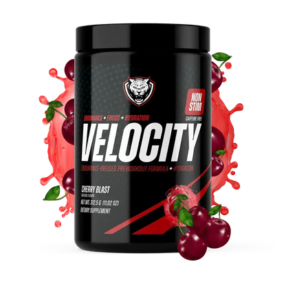 VELOCITY