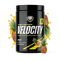 VELOCITY